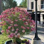 Hotel Bannewitz B&B 住宿加早餐酒店