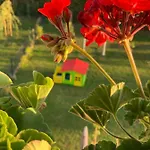 Hotel Bannewitz B&B Bed & Breakfast Bannewitz