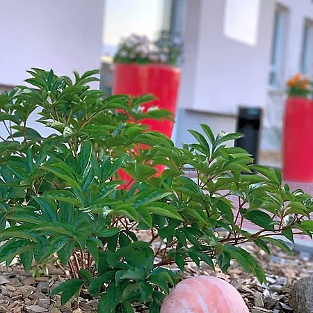 فندق مبيت وإفطار Hotel Bannewitz B&B Bannewitz
