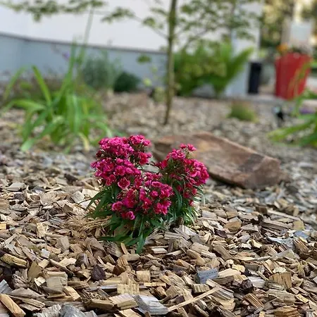 Hotel Bannewitz B&B Bed & Breakfast Bannewitz