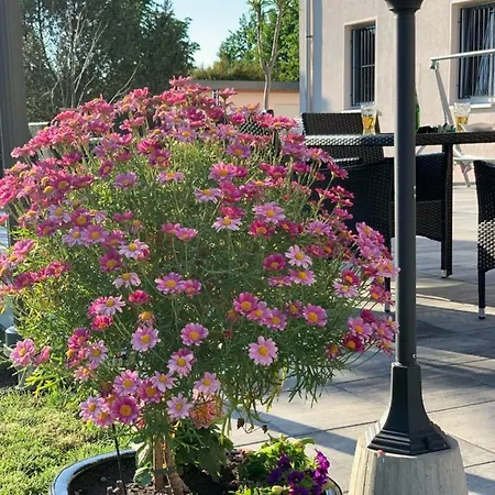 Hotel Bannewitz B&B Bed & Breakfast