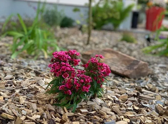 Hotel Bannewitz B&B Frühstückspension Bannewitz