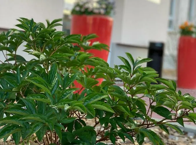 Bed and Breakfast Hotel Bannewitz B&B 4*