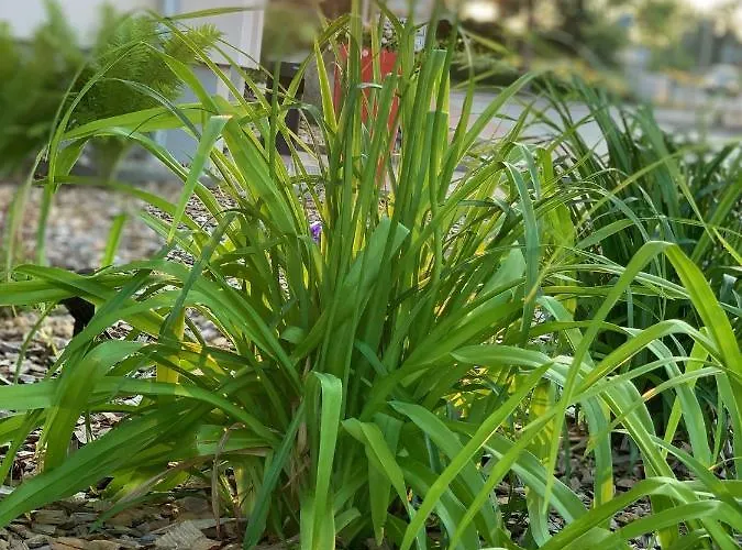 Hotel Bannewitz B&B 住宿加早餐酒店