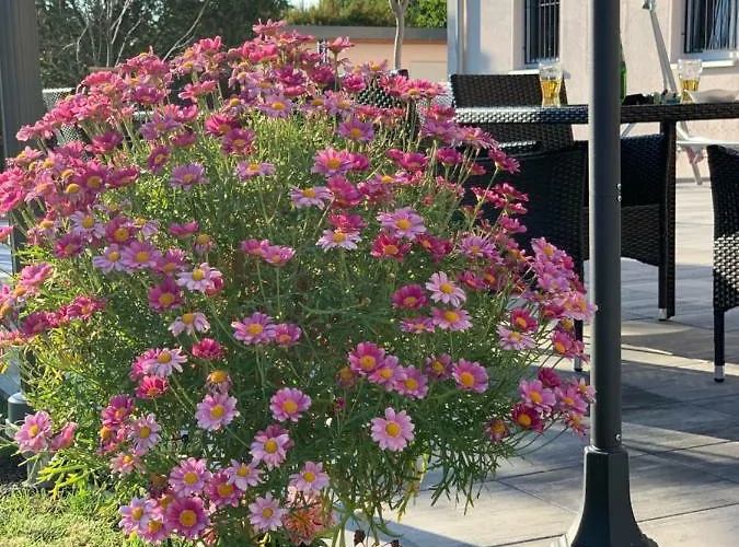 Hotel Bannewitz B&B Bed and Breakfast