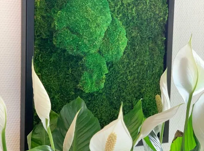 Hotel Bannewitz B&B 4* Bannewitz