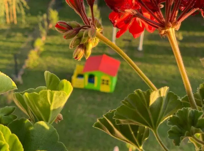 Hotel Bannewitz B&B Frühstückspension Bannewitz